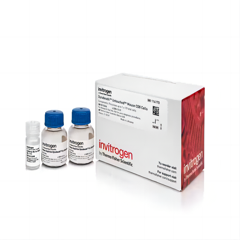 Dynabeads&trade; Untouched&trade; Mouse CD8 Cells Kit