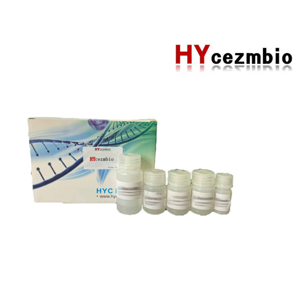 游离 DNA 提取试剂盒